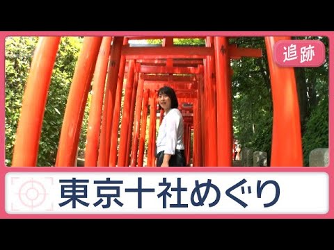 一日で10社巡れる？東京の神社巡礼旅　意外と知らない神社の魅力満載【Jの追跡】【スーパーJチャンネル】(2026年6月…