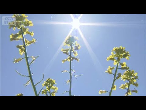 北日本で25℃以上続出　5月でも熱中症に注意　7日は関東でも夏日見込み(2026年5月6日) サムネイル