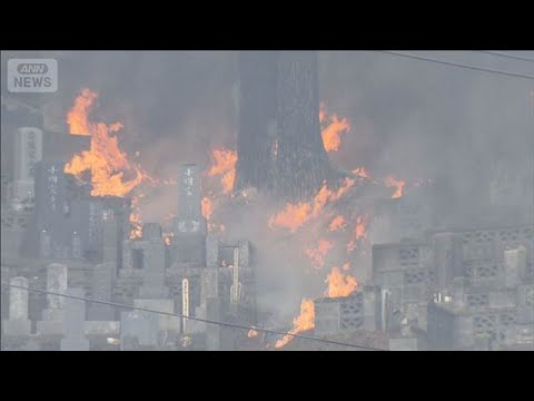 岩手・大槌町の山火事　発生4日目　延焼拡大で住宅に迫る(2026年4月25日) サムネイル