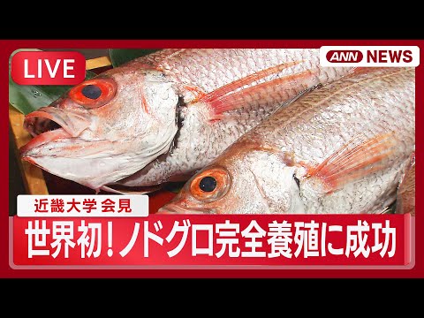 【ライブ】世界初！ノドグロの完全養殖に成功  近畿大学が会見【LIVE】(2026年2月5日) ANN/テレ朝 サムネイル