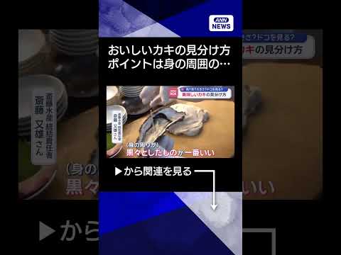 【ニュース】美味しいカキの見分け方　色？形？大きさ？ドコを見る？shorts