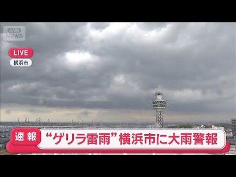 【速報】“ゲリラ雷雨”横浜市に大雨警報　都心でも激しい雷雨など警戒【スーパーJチャンネル】(2026年5月14日) サムネイル