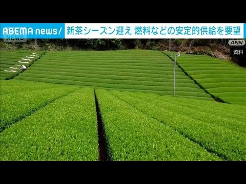 新茶シーズン迎え…燃料などの安定的供給を要望　自民党の茶業議連が農水大臣と会談(2026年4月24日) サムネイル