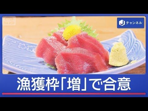 【最新】クロマグロ漁獲枠が異例の“再開催”！増加合意で値段は安くなる？スーパーJチャンネル