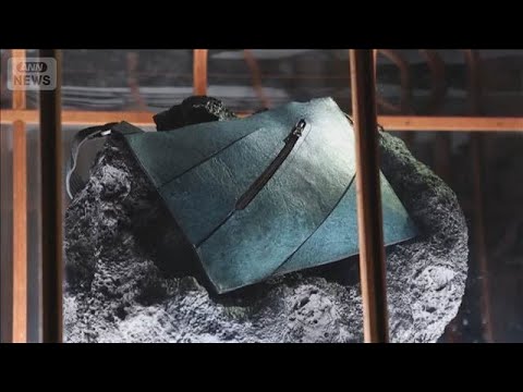 「ティラノサウルス由来の革製バッグ」美術館に登場　研究者から疑問の声も　オランダ【知っておきたい！】【グッド！モーニン… サムネイル