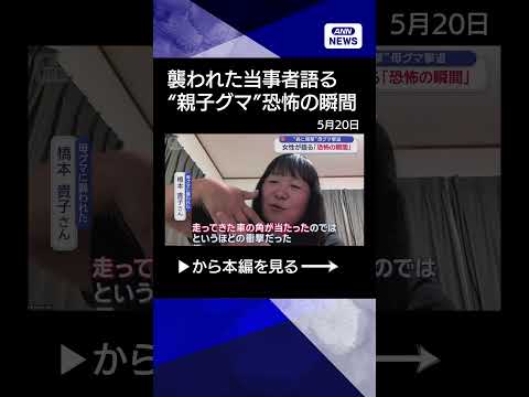 【ニュース】各地で“親子グマ”　襲われた当事者語る「恐怖の瞬間」 shorts サムネイル