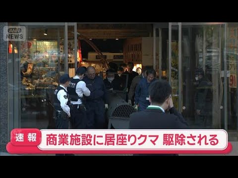 【速報】商業施設に入り込んだクマ　駆除される　青森【スーパーJチャンネル】(2026年5月15日) サムネイル