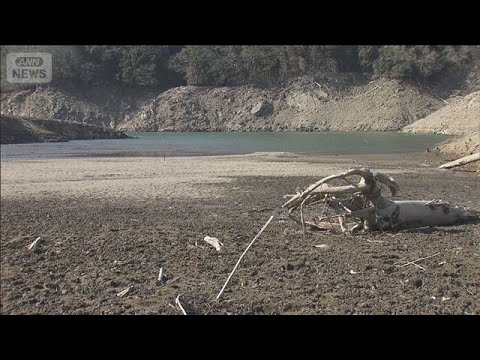 3連休の“渇水ダム”立ち入り禁止エリアに観光客 70年前に沈んだ橋も出現(2026年2月22日) サムネイル