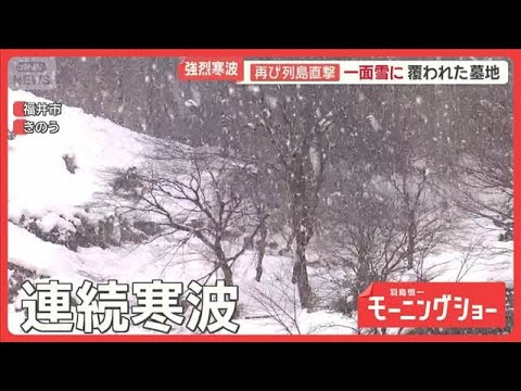 住民悲鳴“連続寒波”で被害続出　積もり続ける雪　「桜の木が」物流も大混乱【羽鳥慎一モーニングショー】(2026年1月3… サムネイル