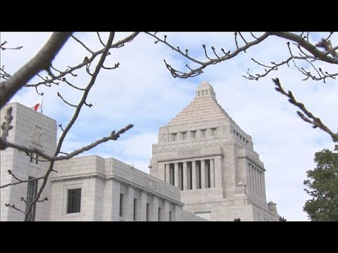 高市政権 早期解散検討を受け　維新・吉村代表「国民に信を問う」(2026年1月11日) サムネイル