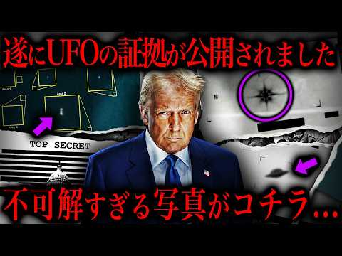 ついに暴露されるようです。 サムネイル