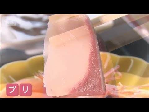 養殖ブリ　約2万匹が死ぬ　“1億円の被害”原因は赤潮　鹿児島【スーパーJチャンネル】(2026年6月10日)