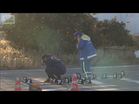 ひき逃げされ男性死亡 横断歩道で頭から流血 タイヤ痕も　さいたま市(2025年12月23日) サムネイル