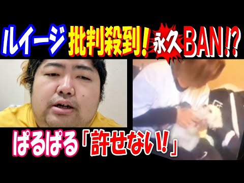 【ぱるぱる】「許せない!」【ルイージ】批判殺到! 永久BANか!? サムネイル