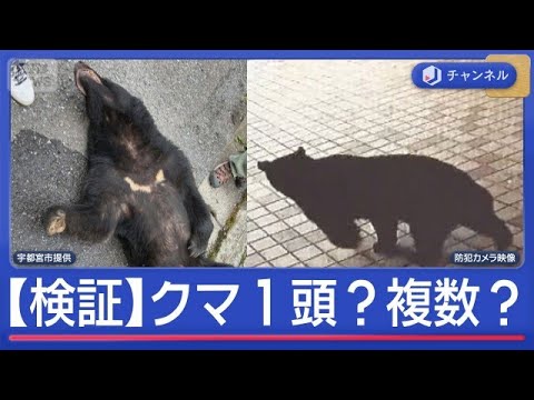 捕獲後も厳戒続く“宇都宮クマ”は1頭？複数頭？徹底検証【スーパーJチャンネル】(2026年6月10日)