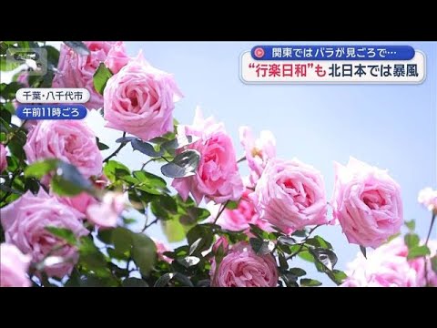 “行楽日和”も北日本では暴風　関東ではバラが見ごろで…観光地は多くの人出【スーパーJチャンネル】(2026年5月9日)