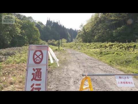 85歳男性がクマに襲われ死亡か…頭などに引っかかれた傷も　岩手・西和賀町【報道ステーション】(2026年5月20日) サムネイル