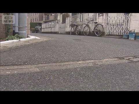 75歳男性ひき逃げされ死亡　65歳の女を逮捕　埼玉・春日部市(2026年1月11日) サムネイル