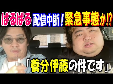 【ぱるぱる】配信中断! 緊急事態か!?「【養分伊藤】の件です」「家に向かってる配信者は、配信切って下さい!」 サムネイル