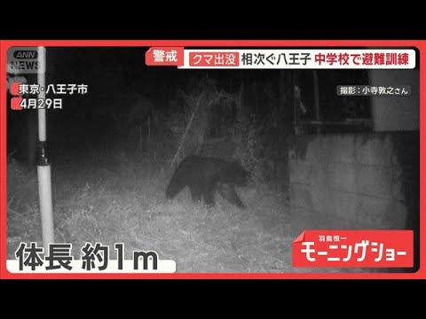 多摩川河川敷に“大型獣”の痕跡　東京のクマ「分布拡大中」　観光地に影響も【羽鳥慎一モーニングショー】(2026年6月2…