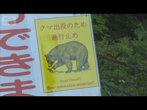遊歩道で男女がクマに襲われけが　富山・立山町(2026年5月14日)