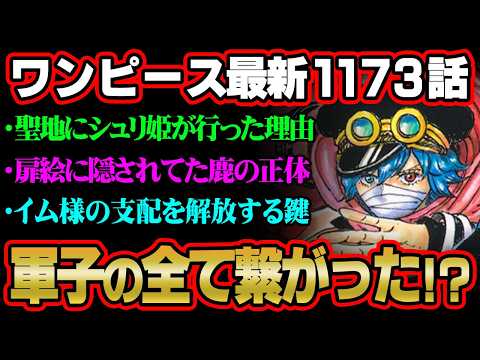 【ワンピース 最新話】シュリ姫が軍子になった理由コレか…イム様の支配から解放する鍵の全てが繋がった!?※ジャンプ ネタ… サムネイル