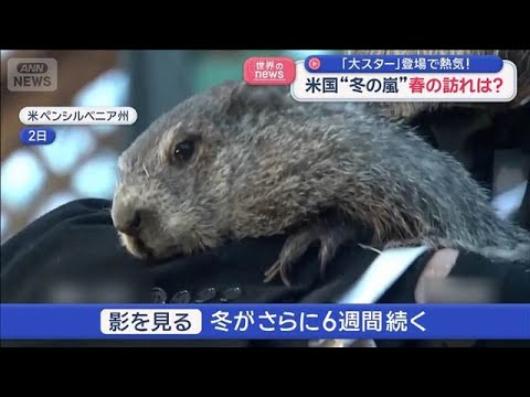 春の訪れ占う「グラウンドホッグ」 その“大スター”登場に熱気最高潮！【スーパーJチャンネル】(2026年2月3日) サムネイル