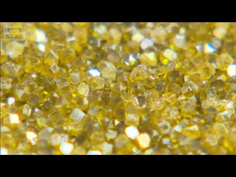 中国への依存減へ「政府の支援が不可欠」　対米投資候補の人工ダイヤモンド業界(2026年2月17日) サムネイル