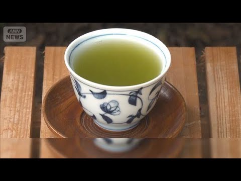 重油不足で「一番茶」製造に影響　ナフサ供給滞り包装もままならず【もっと知りたい！】【グッド！モーニング】(2026年4…