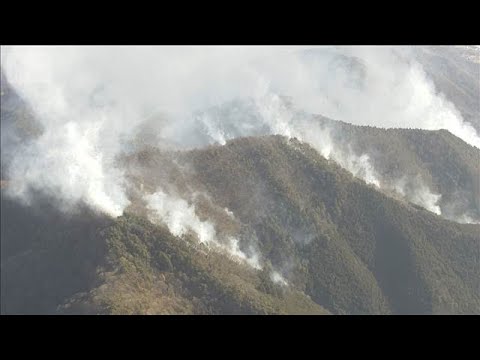 火事「もらい火」で賠償は困難　請求可能は1～2％　「再調達価額」補償の保険検討を【もっと知りたい！】【グッド！モーニン… サムネイル