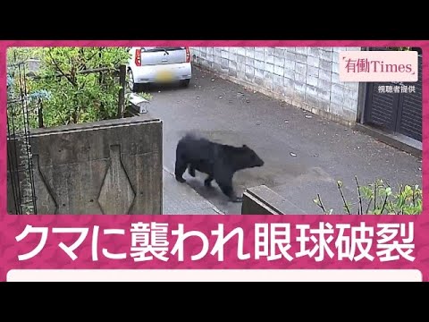 独自）クマ襲撃で眼球破裂「顔面かじられ…鶏軟骨食べる音」秋田ケガ被害“全員”証言(2026年6月14日) サムネイル
