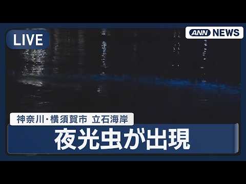 【リプレイ】時折、海が青く輝く…夜光虫が出現  立石海岸 神奈川・横須賀市 Sea sparkle【午後8時すぎ～】(…
