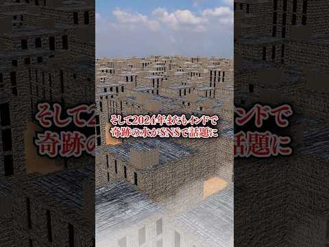 奇跡の水の正体　shorts サムネイル