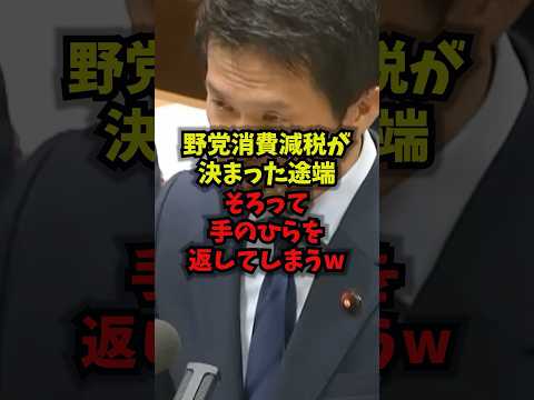 【衝撃】野党消費減税が決まった途端そろって手のひらを返してしまうw消費税 減税 玉木雄一郎 野党 shorts