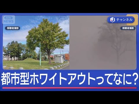 急増「都市型ホワイトアウト」ってナニ？【スーパーJチャンネル】(2026年1月22日) サムネイル