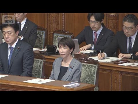 暫定予算が成立　11年ぶりの措置　新年度予算案成立までのつなぎ　中道なども賛成(2026年3月30日) サムネイル