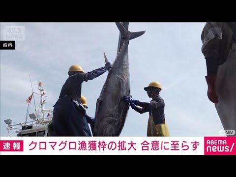 太平洋クロマグロの国際会議　来年の漁獲枠拡大の合意至らず　メキシコが反発(2026年7月14日)