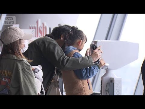 東京スカイツリー26日から営業再開　エレベーター事故で3日間臨時休業(2026年2月26日) サムネイル