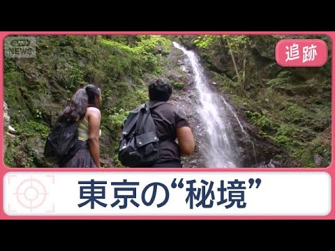 「東京最後の秘境」外国人にも人気　SNSで拡散「魔法のような時間」と絶賛のツアーも【Jの追跡】【スーパーJチャンネル】… サムネイル