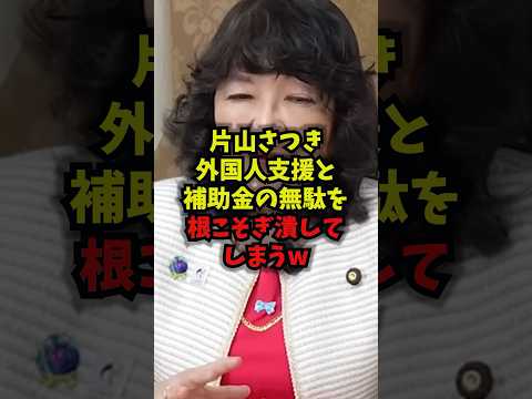 【一撃】片山さつき外国人支援と補助金の無駄を根こそぎ潰してしまうｗ片山さつき 財務大臣 外国人支援 補助金改革 sho…