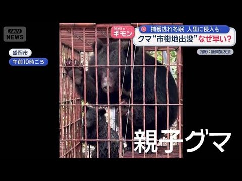 街のド真ん中にクマ“市街地出没”なぜ早い？【スーパーJチャンネル】(2026年5月14日)