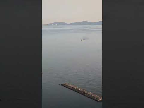 三河湾 ライブ ハイライト サムネイル