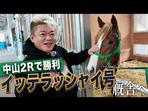 ホリエモンの所有馬「イッテラッシャイ号」に会いに行きました【馬主復活】 サムネイル