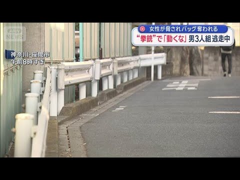 “拳銃”で「動くな」　女性が脅されバッグ奪われる 男3人組逃走中　神奈川・座間市【スーパーJチャンネル】(2026年1… サムネイル