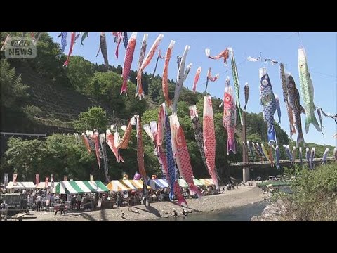 800匹の「こいのぼり」　五月晴れの空を悠々と　群馬・神流町(2026年5月5日) サムネイル