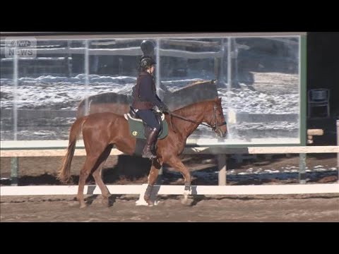 青森、沖縄で…観光業界「馬旅」アピール　競馬場で遊び放題　乗馬体験プログラムも【グッド！モーニング】(2026年1月5… サムネイル