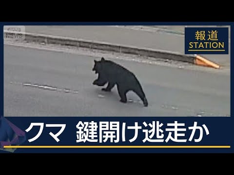 蛇口ひねって水飲んだ？鍵開けて窓スライドさせ逃走か…“賢い”クマの行動なぜ？【報道ステーション】(2026年6月4日) サムネイル
