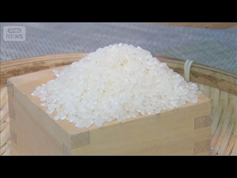 コメ価格が5週連続値下がり 在庫最大・需要以上の生産量… 傾向続きそう【スーパーJチャンネル】(2026年7月31日)