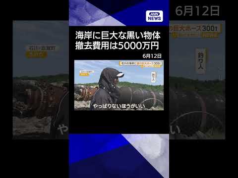 【ニュース】石川県の海岸に巨大な黒い物体　海底の土砂撤去用ホース　表面に中国メーカーの名　shorts