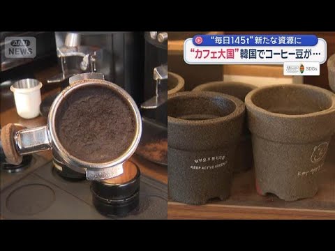 【SDGs】“カフェ大国”韓国で新たな取り組み　コーヒー豆“毎日145t”が資源に【スーパーJチャンネル】(2026年… サムネイル